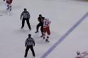 Anaheim vs Detroit (38)